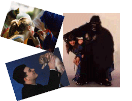 Hire professional entertainers from NJ Party Entertainment for the best entertainment in NJ- Magic Clowns, Magicians, Face Painters, Balloonists, Hula Dancers, Fire Poi Spinners, Belly Dancers, Gorilla Grams, and more